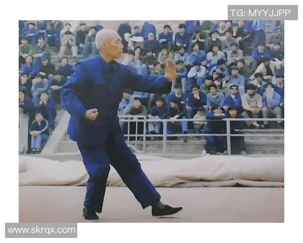 杨姓体育明星排行榜揭晓谁是运动界的佼佼者与传奇人物