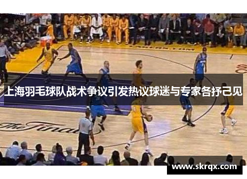 上海羽毛球队战术争议引发热议球迷与专家各抒己见